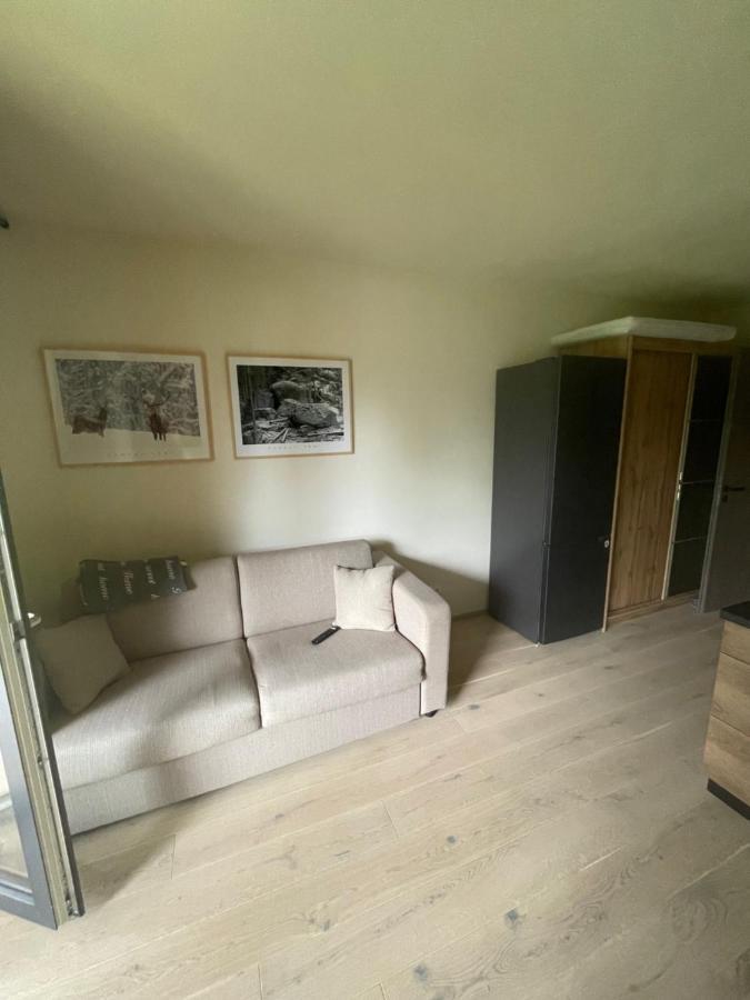 Ferienwohnung Apartman Pod Jasanem Hojsova Straz Brcalnik Železná Ruda Exterior foto