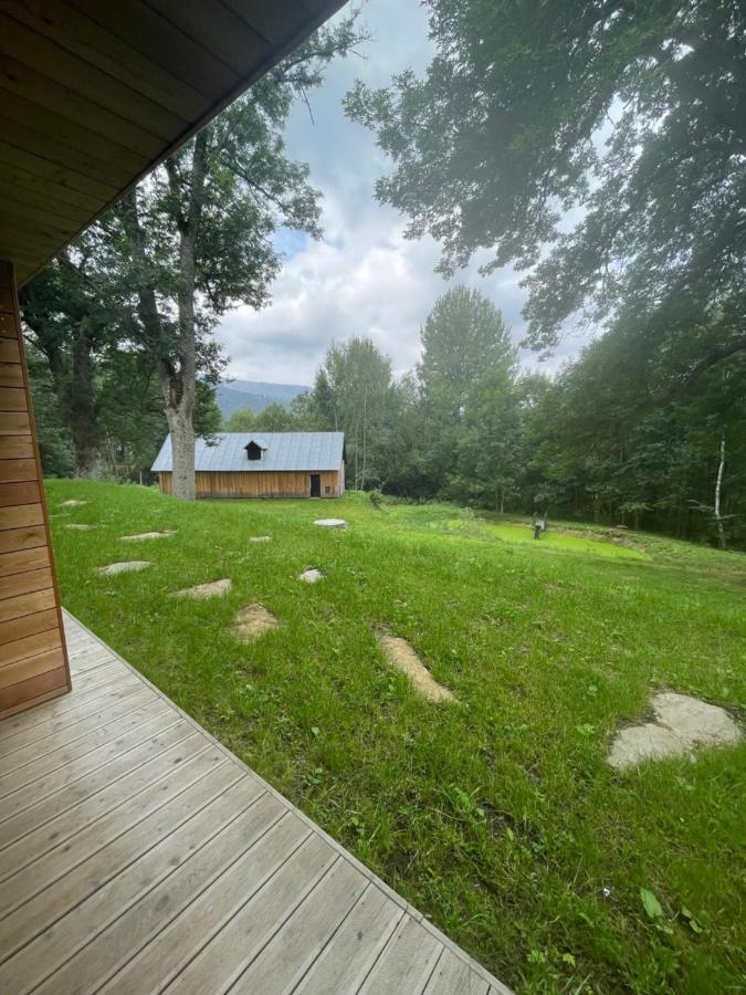 Ferienwohnung Apartman Pod Jasanem Hojsova Straz Brcalnik Železná Ruda Exterior foto