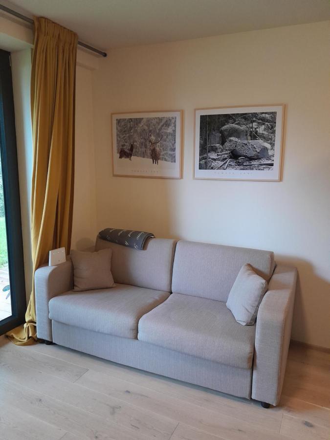 Ferienwohnung Apartman Pod Jasanem Hojsova Straz Brcalnik Železná Ruda Exterior foto