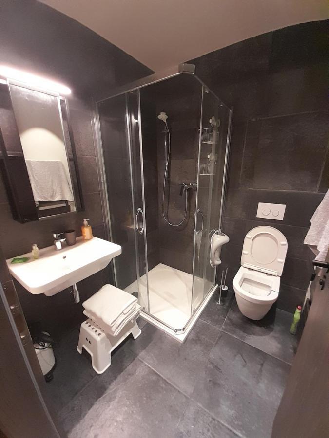 Ferienwohnung Apartman Pod Jasanem Hojsova Straz Brcalnik Železná Ruda Exterior foto