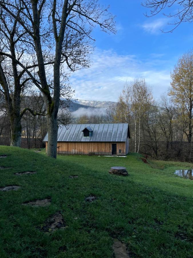 Ferienwohnung Apartman Pod Jasanem Hojsova Straz Brcalnik Železná Ruda Exterior foto