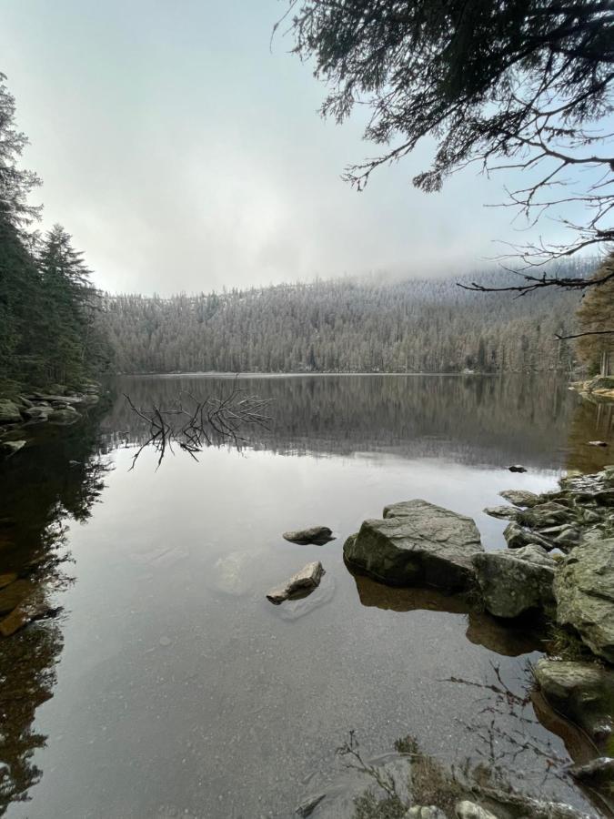 Ferienwohnung Apartman Pod Jasanem Hojsova Straz Brcalnik Železná Ruda Exterior foto