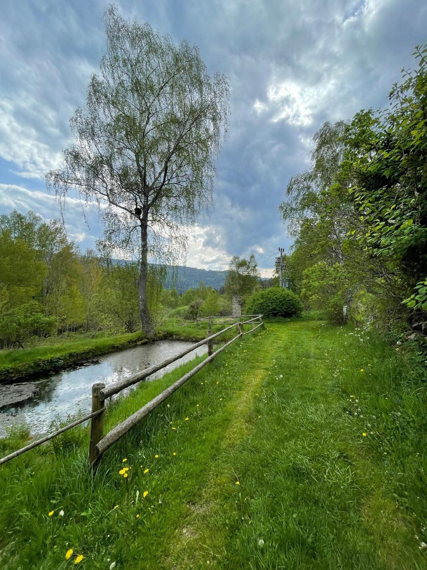 Ferienwohnung Apartman Pod Jasanem Hojsova Straz Brcalnik Železná Ruda Exterior foto